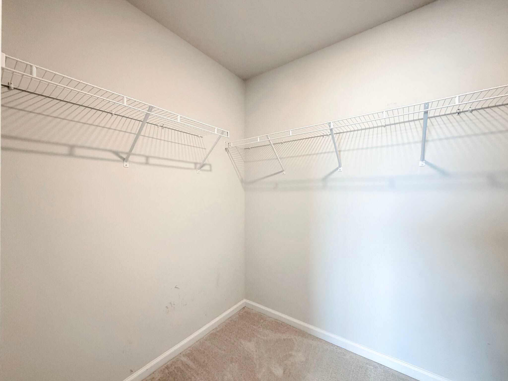 Building Photo - 3018 Brellon Ln