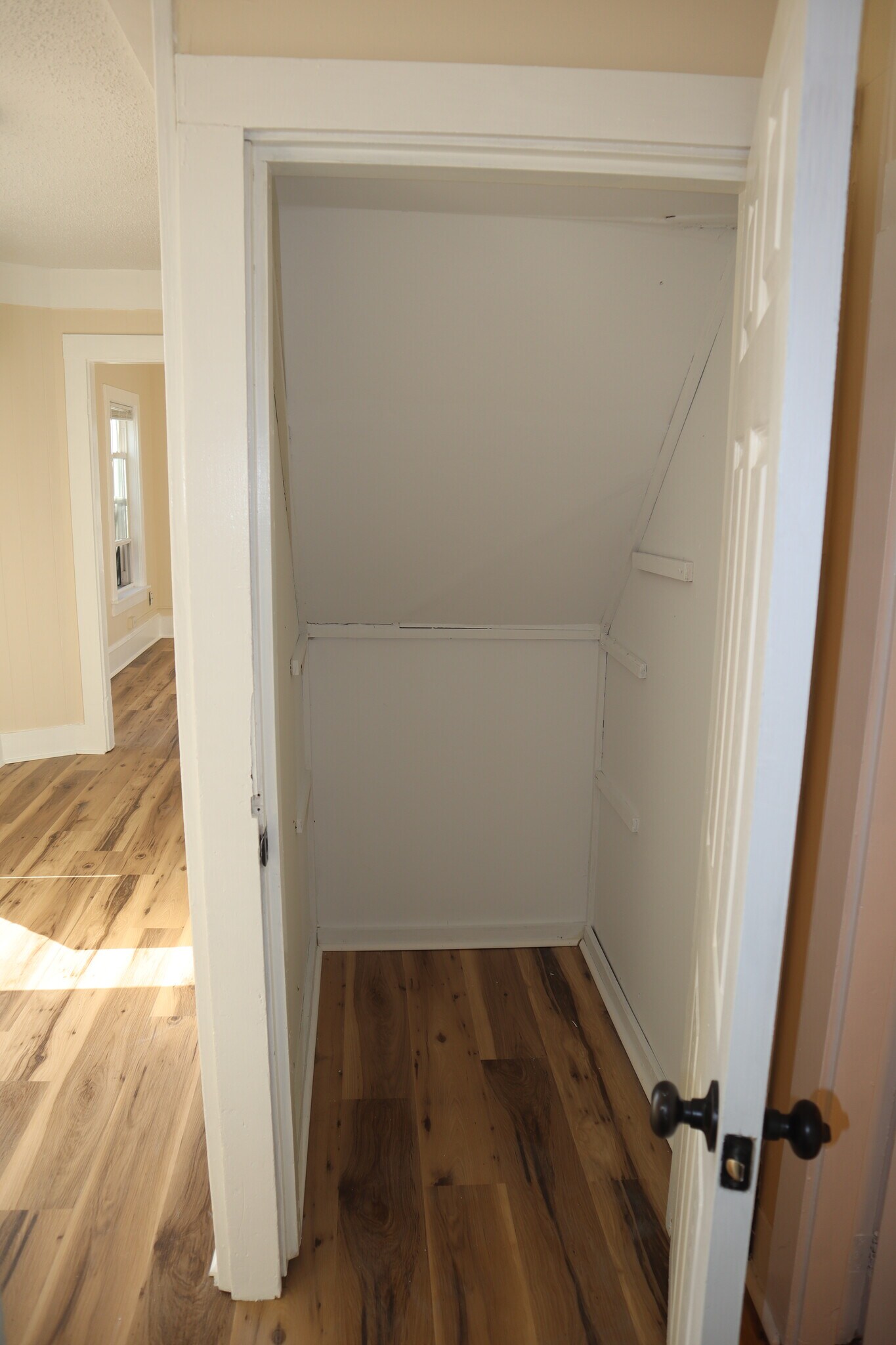 Under Stairs storage - 4 Palmer St