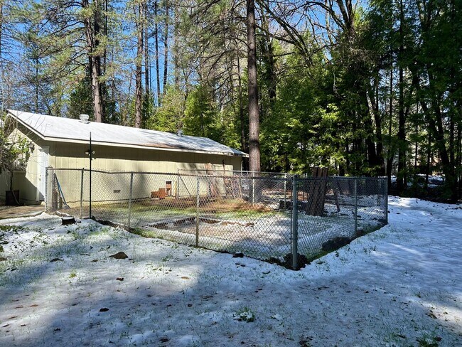 Building Photo - Wooded 2 bedroom cabin in nice neighborhood