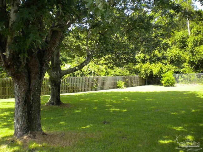 Building Photo - 2015 Frontera St