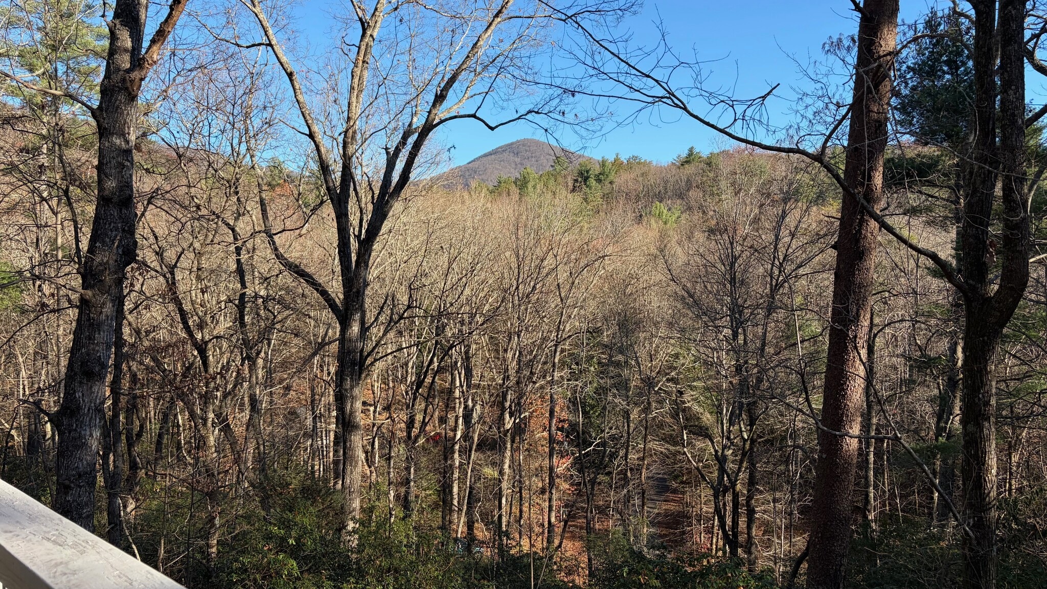 Building Photo - 56 Puff Hill Dr