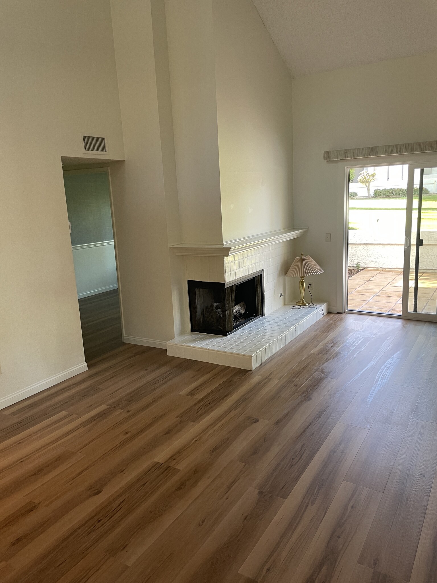 Gas Fireplace - 1321 Calle Lozano