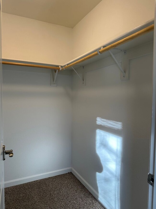 Building Photo - Updated House on 1/2 an Acre Near Spongs Landing Park! Pet Friendly!