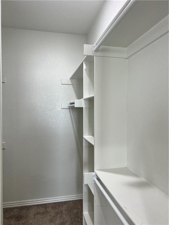 Building Photo - 901 Sassafras Ln