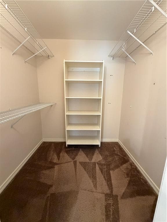 Building Photo - 706 Meghan St