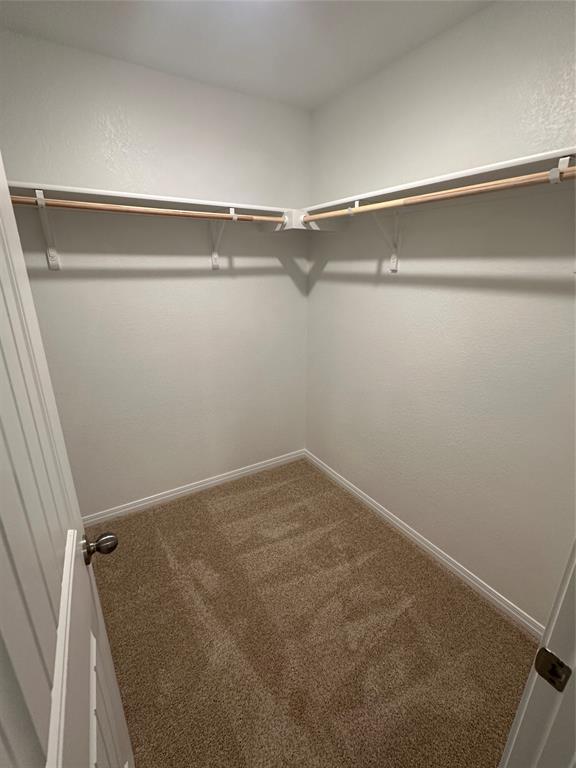 Building Photo - 742 Globe Mallow Cir