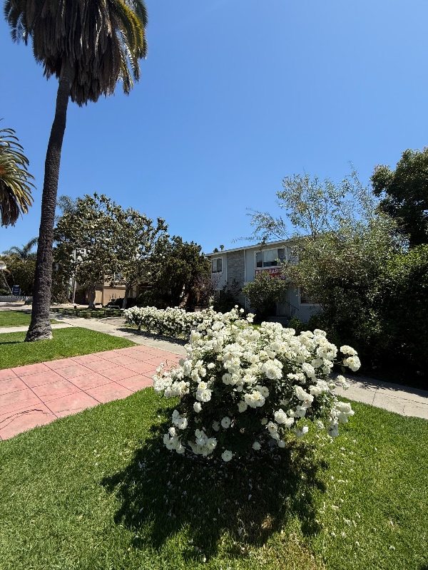 Building Photo - 2140 Beachwood Dr