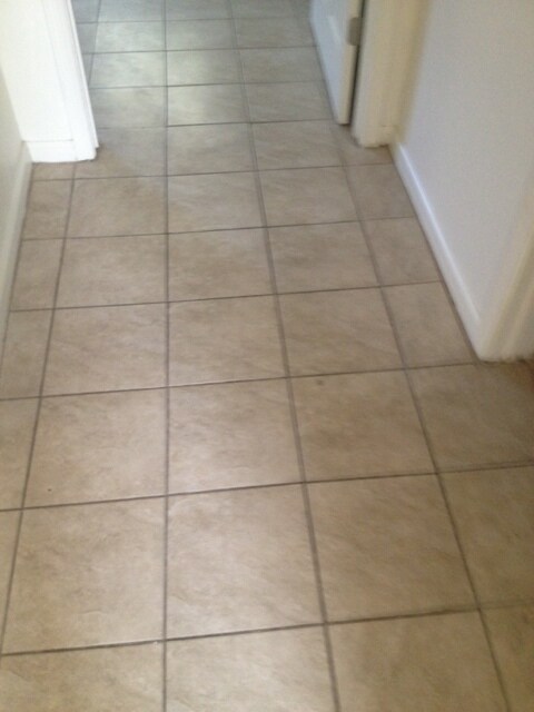 Building Photo - NEW REMODELED