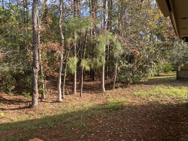 Building Photo - COMING SOON – 3 Bedroom, 2 Bathroom Single...