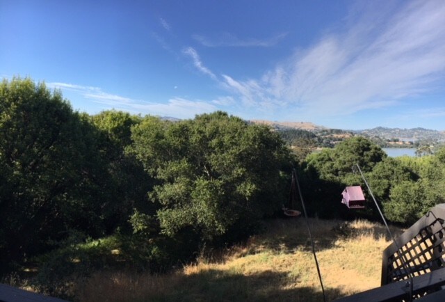 Deck View Back to Open Space - 316 Donahue St