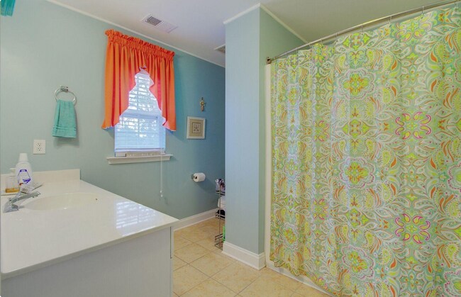 Master Bedroom Bath - 4218 Climbing Tree Ct