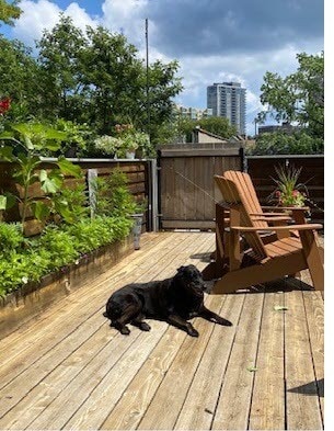 Let your dog out on the deck. - 1730 N Franklin Pl