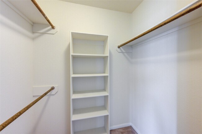 Building Photo - 10907 Woodland Leaf Ln