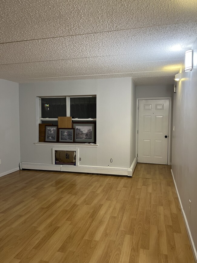 entry way - 24 Palmetto St