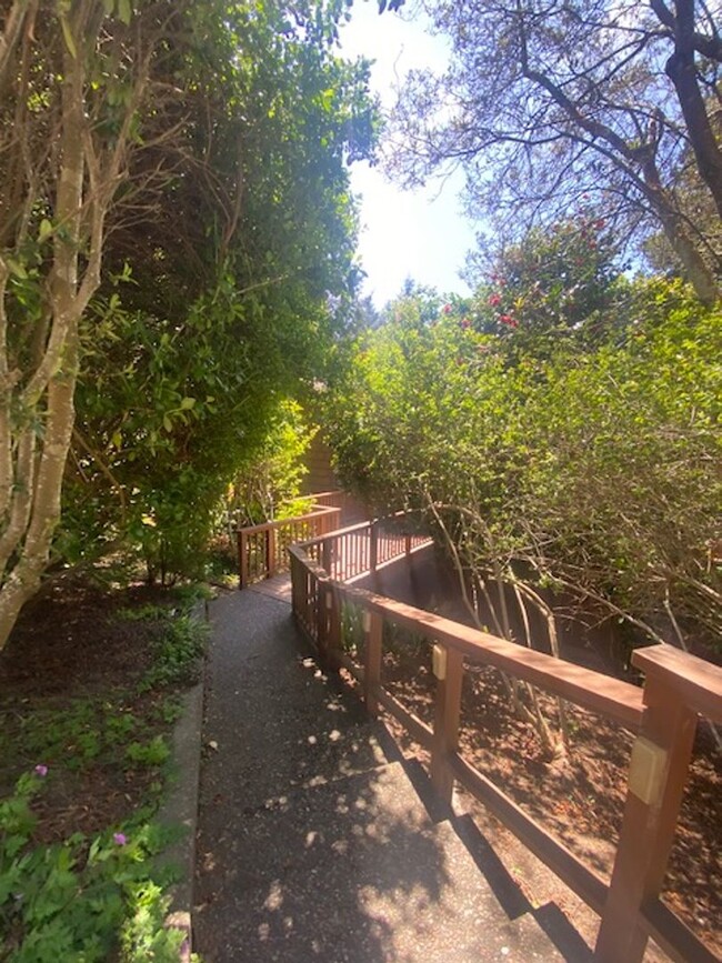 Building Photo - Private / executive 3/2 by Sequoia Park