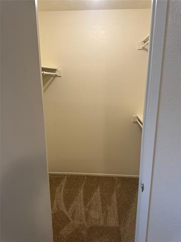Building Photo - 3716 Mulberry Ln
