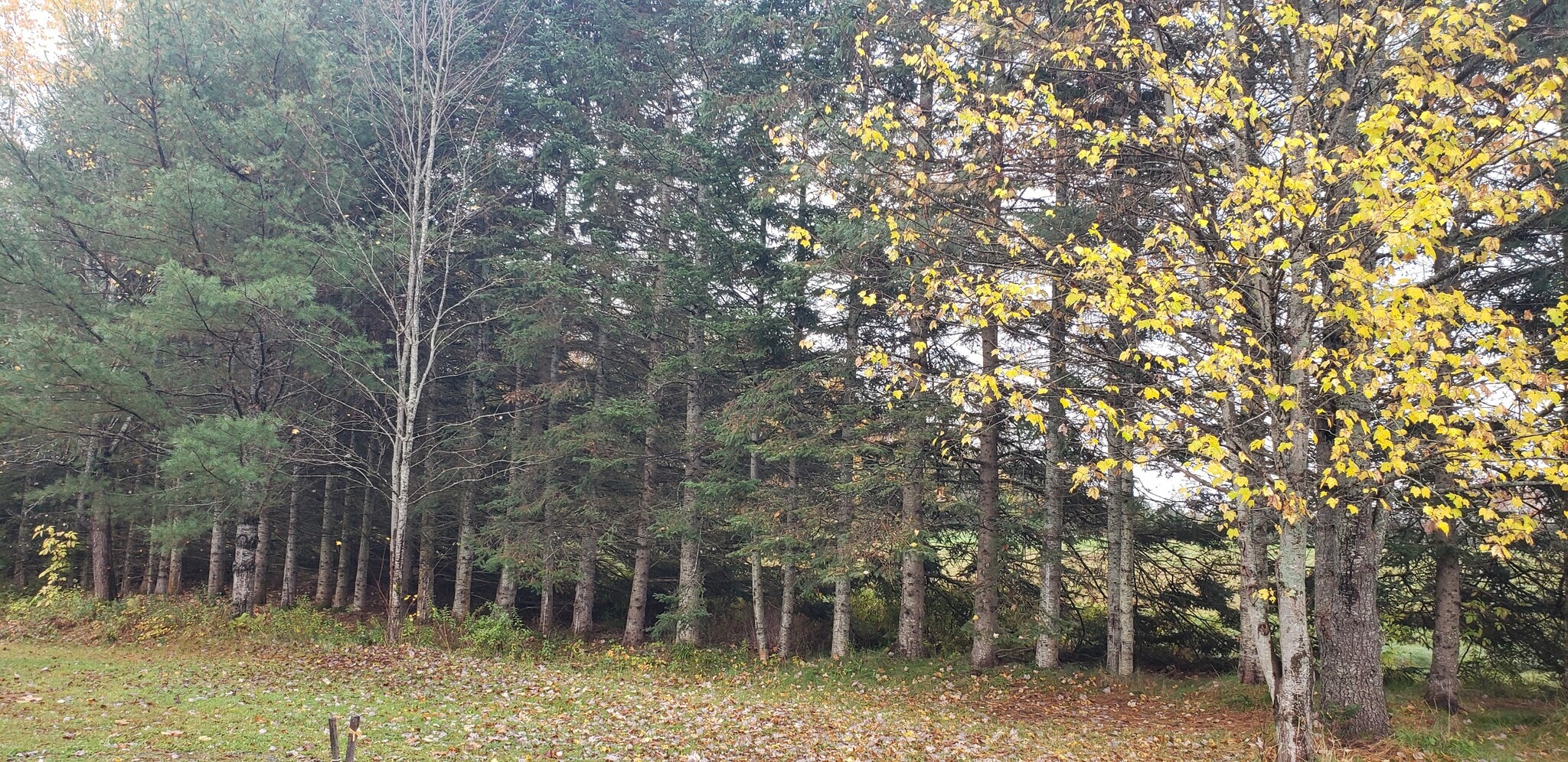 Building Photo - 162 Lancaster Rd