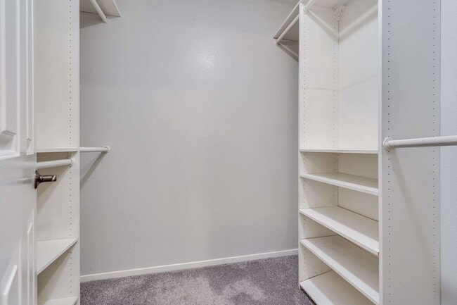 Building Photo - 4235 Sheldon Cir