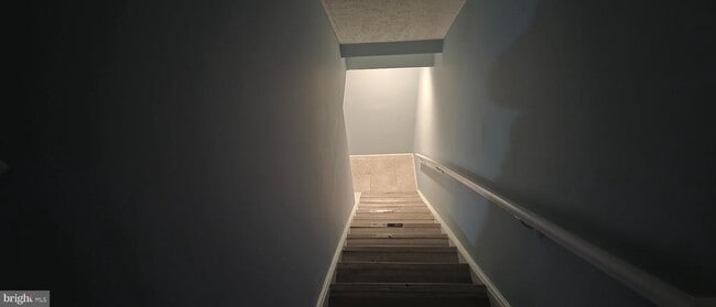 Building Photo - 323 Lindera Ct