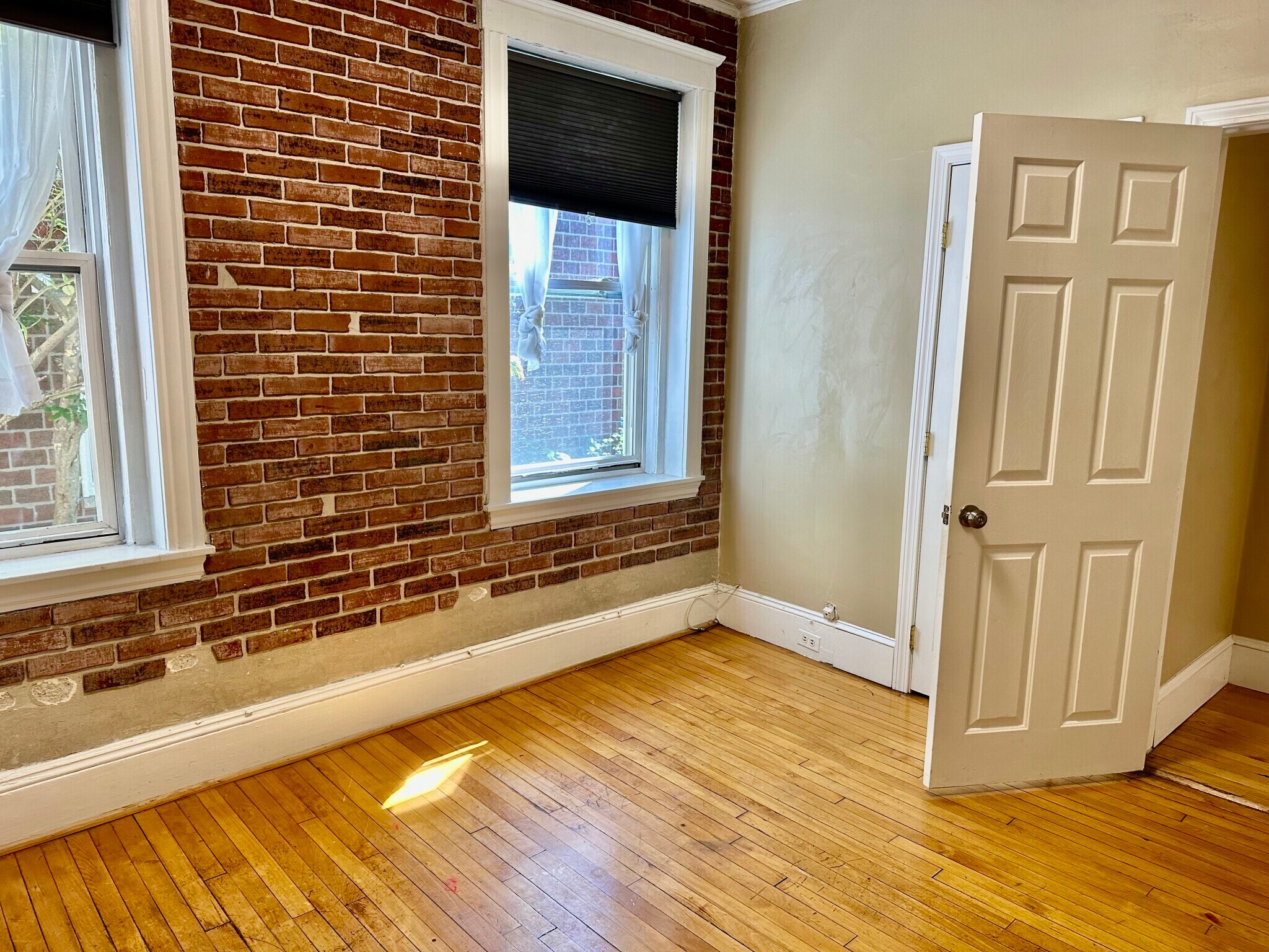 Building Photo - 74 Egmont St