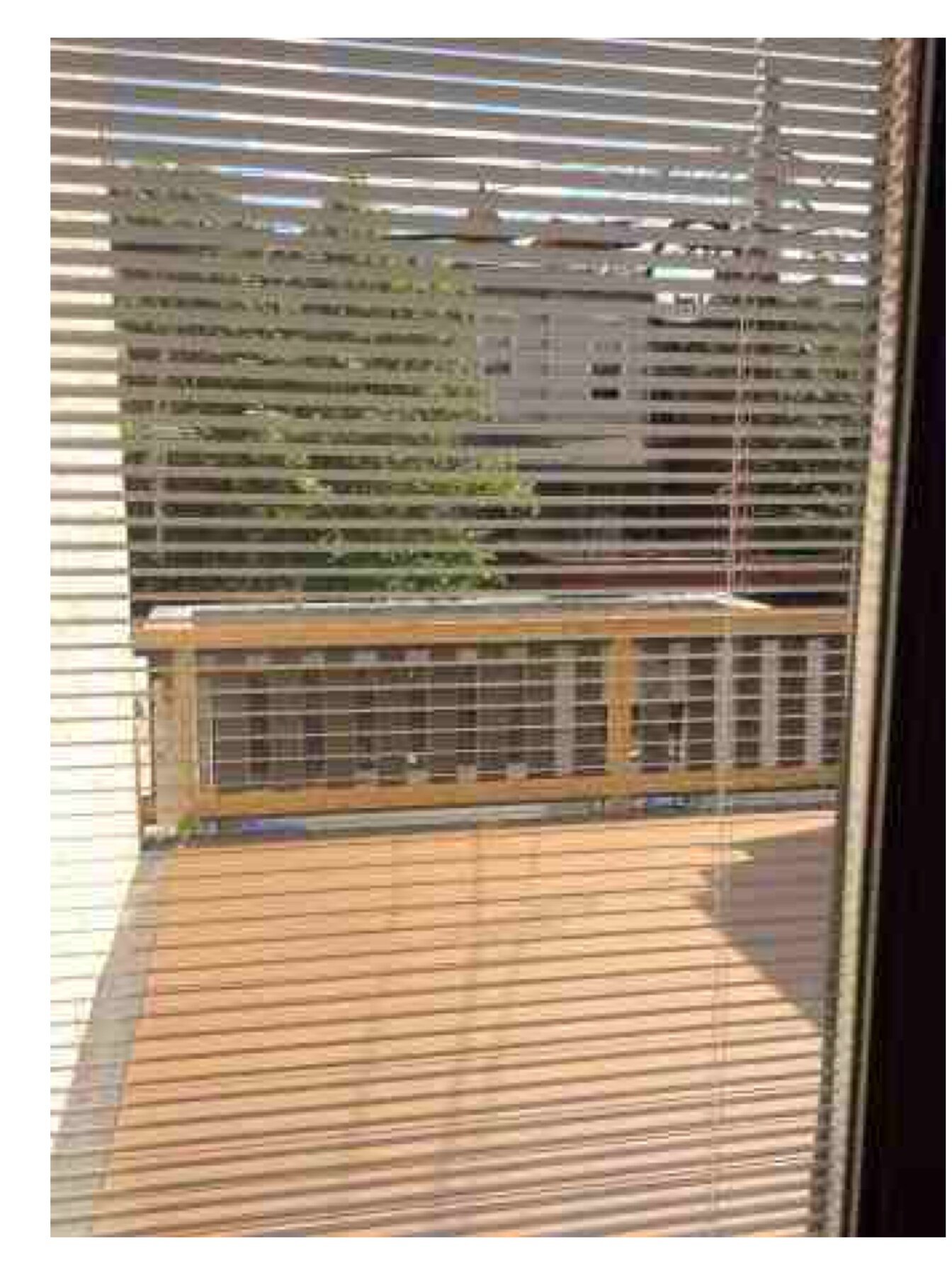 LOWER DECK VIEW FROM KITCHEN - 52 T St NW