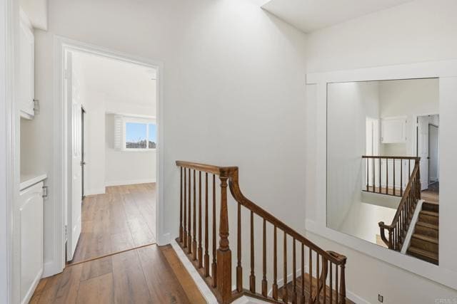 Building Photo - 819 Daphne Ct