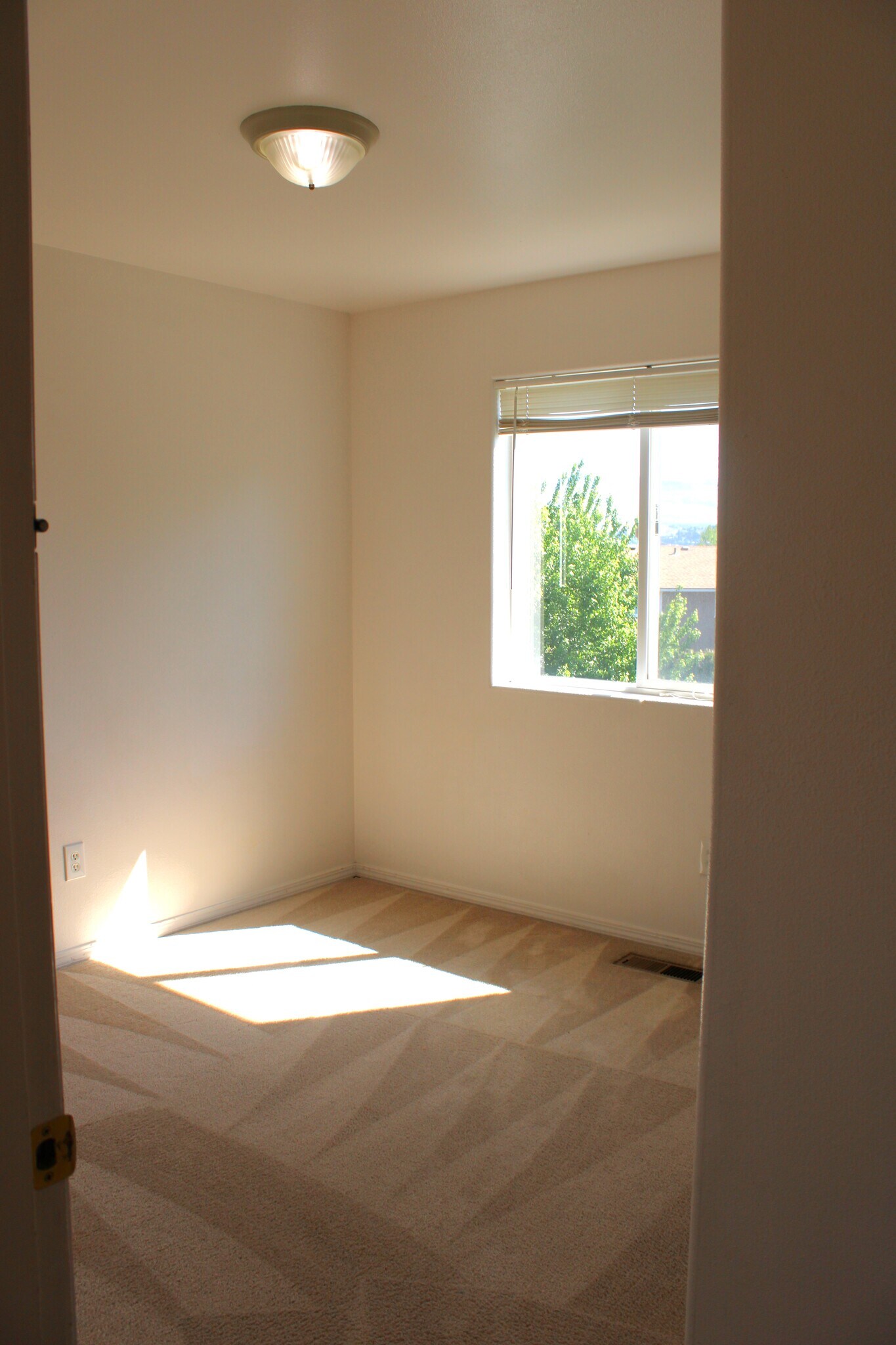 Building Photo - 1503 Trisha Way