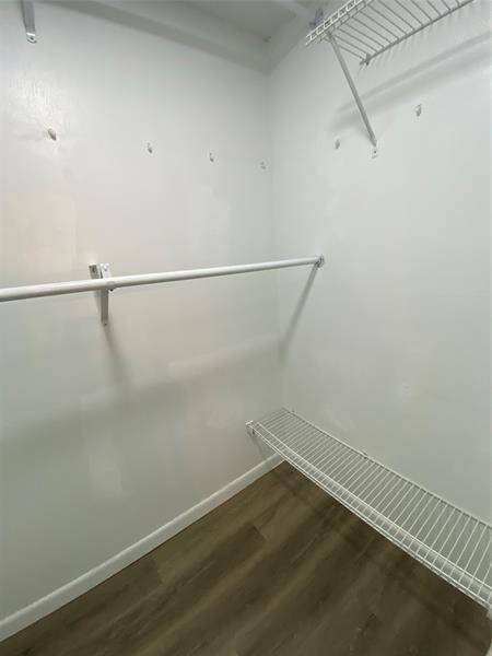 Building Photo - 5668 Blueberry Ct