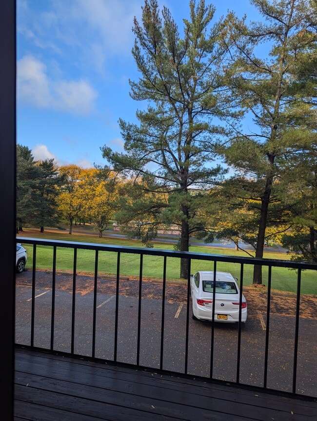 Building Photo - 38 Chestnut Hls