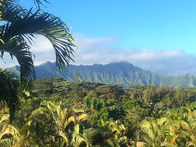 Building Photo - 4362 Ulua St