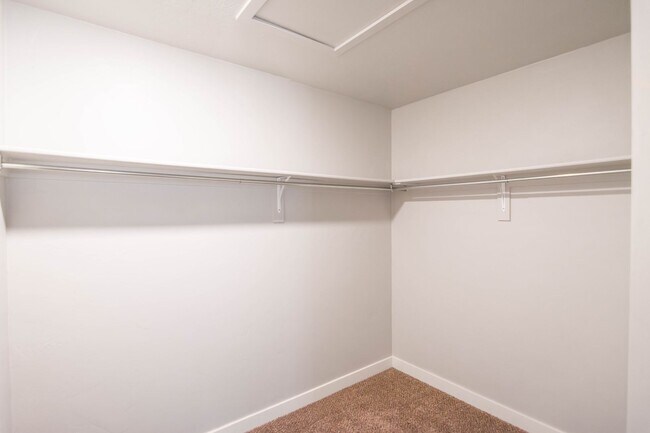 Building Photo - Lovely 3-Bed, 2-Bath Condos in the Distric...