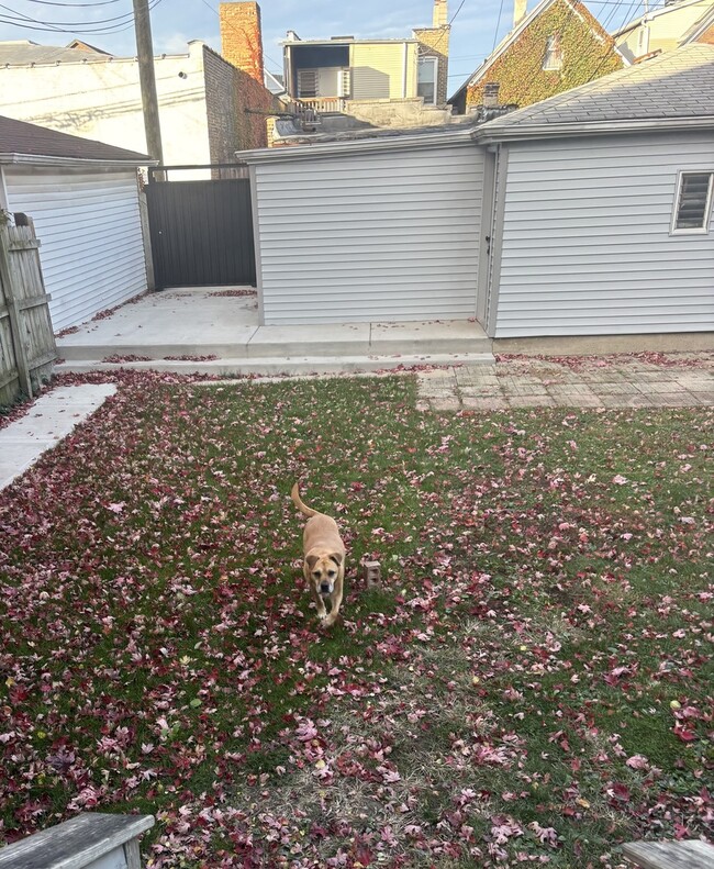 Building Photo - 2846 N Troy St