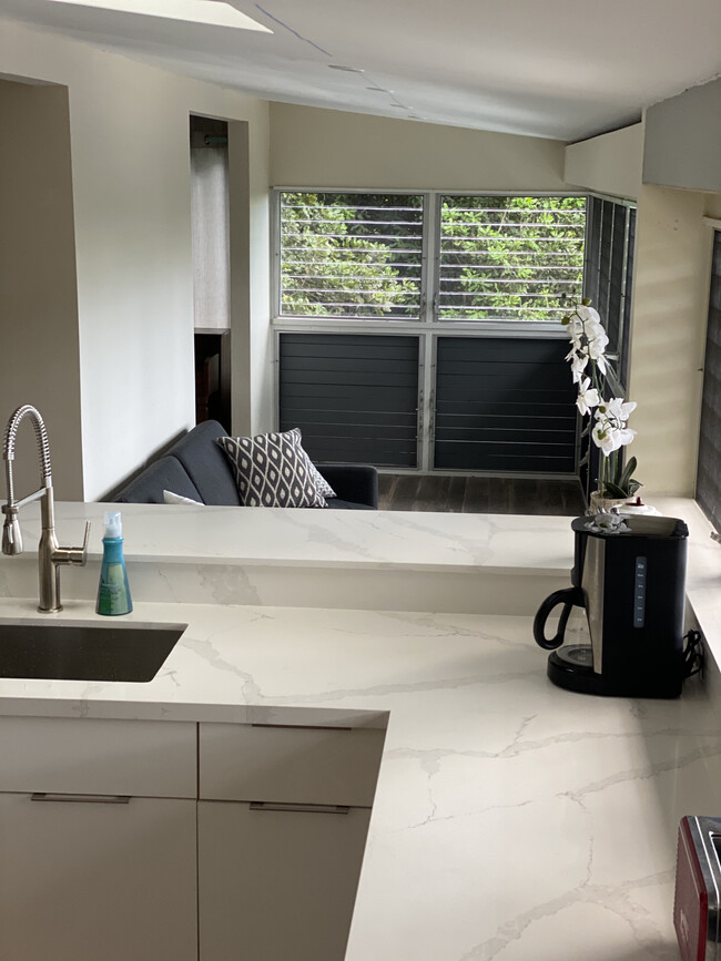 New kitchen with beautiful quartz countertops. - 3321 Anoai Pl