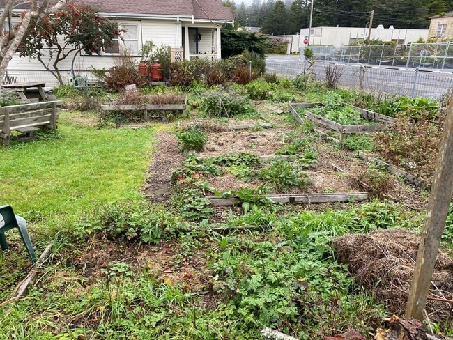 Building Photo - Spacious Craftsman Home