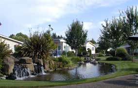 Building Photo - SongBrook