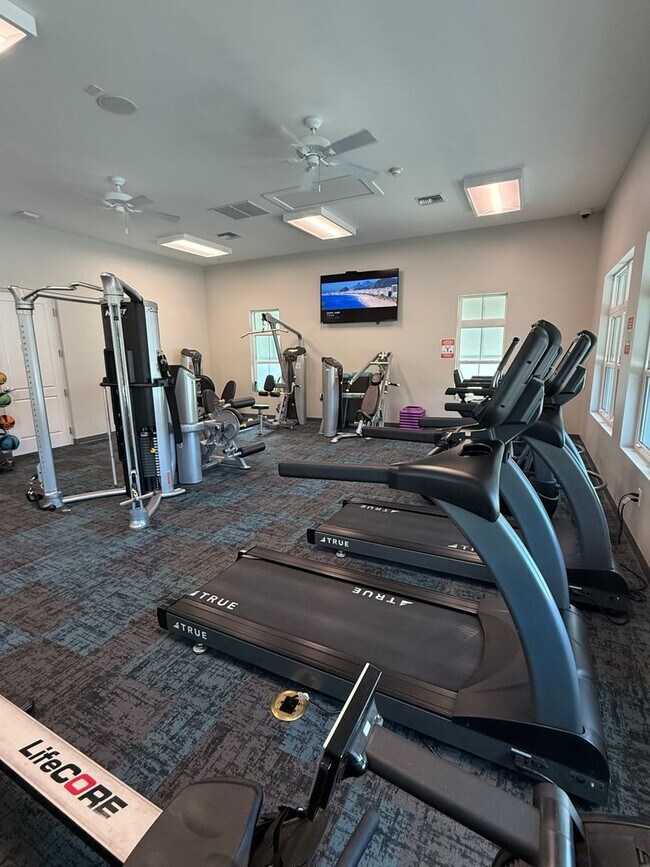 Building Photo - *** Bayshore 3 bed 2 bath *** Resort-Style Amenities and Pet friendly ***