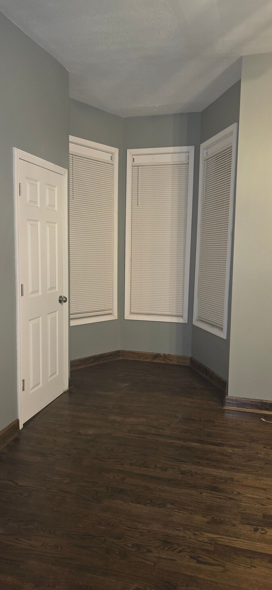 Building Photo - 1515 Lingo St