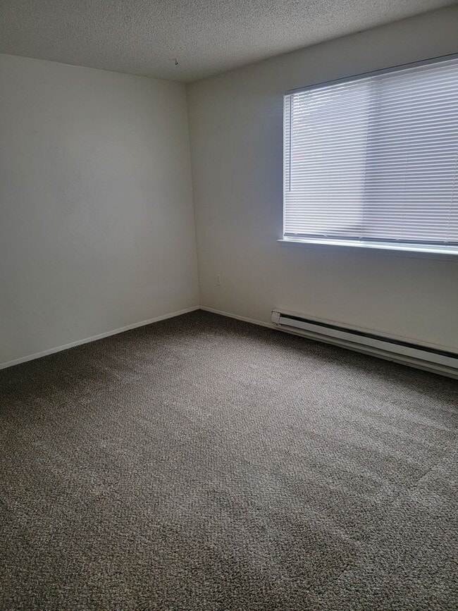 Building Photo - Spacious Spanaway rambler with covered patio and fenced yard.