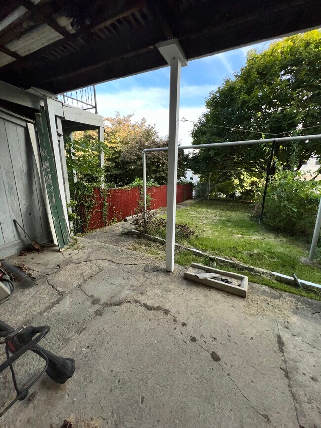 Backyard - 321 Spring Garden St