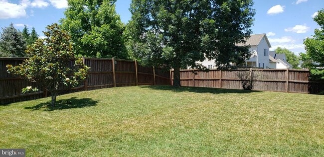 Building Photo - 202 Cool Spring Dr