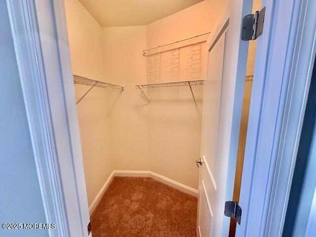 Building Photo - 6203 Fernandez Ct
