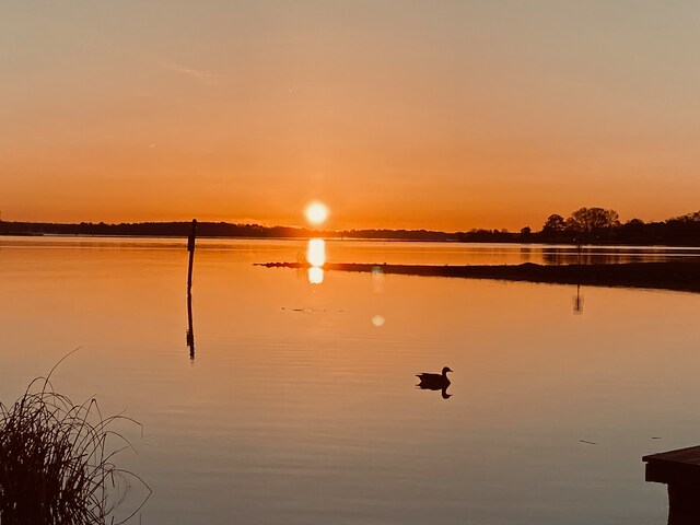 Building Photo - 217 Brendalwood Blvd