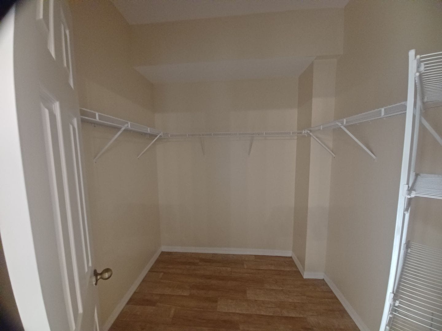 Building Photo - Gorgeous 4/2 wont last long