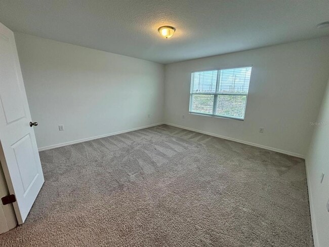 Building Photo - 177 Mandovi St