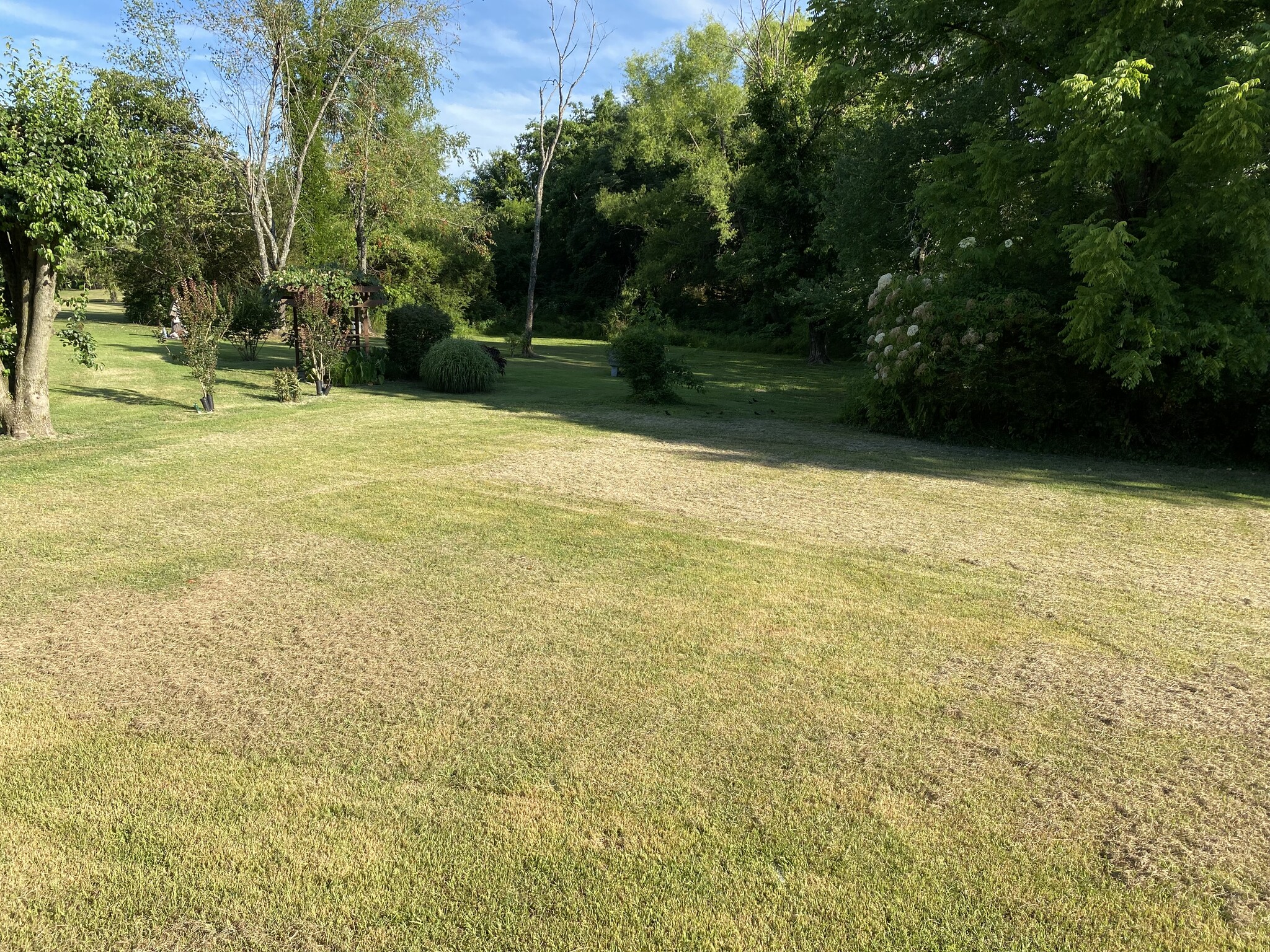 Yard - 504 Luther Rd