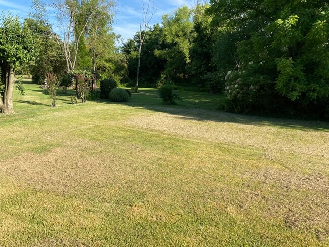 Yard - 504 Luther Rd