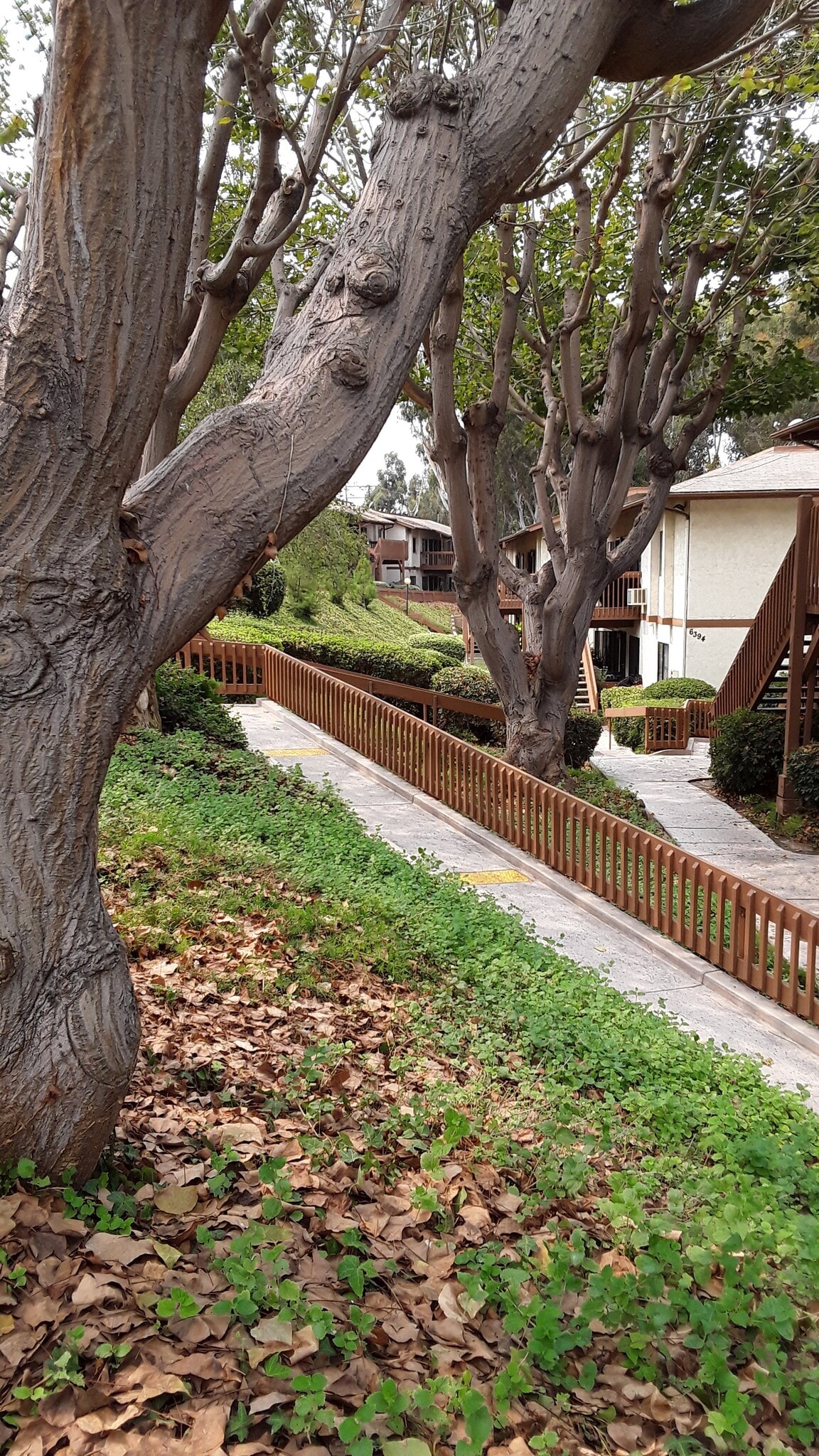 Building Photo - 6362 Rancho Mission Rd