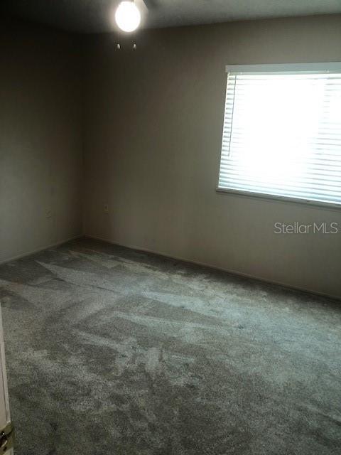 Building Photo - 195 114th Ave NE