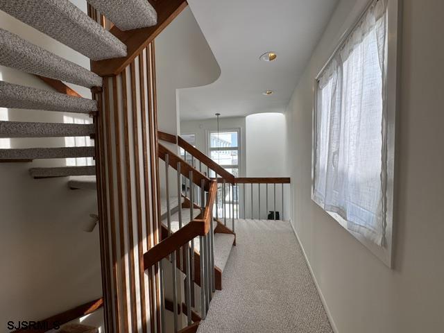 Building Photo - 1210 Pleasure Ave