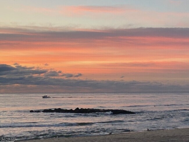 Building Photo - 217 Newark Ave